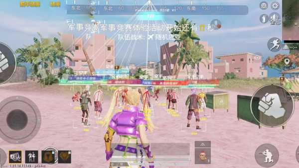 978和平精英辅助