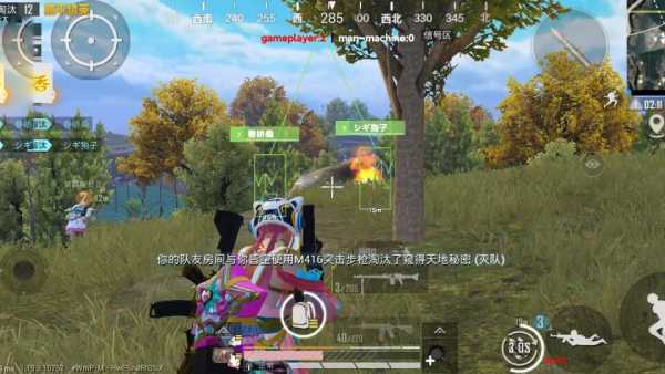 和平精英透视大全